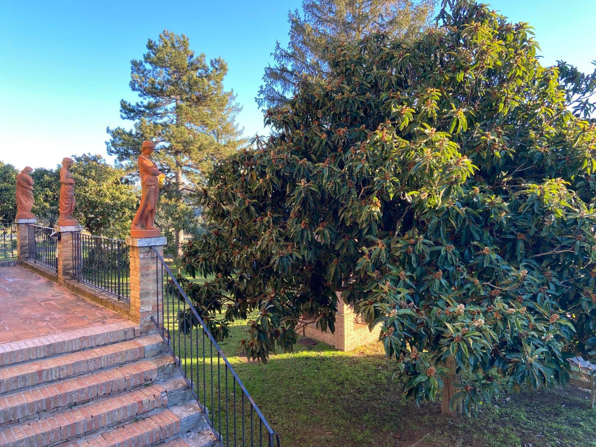 Casaletolfe Residence Siena Luaran gambar